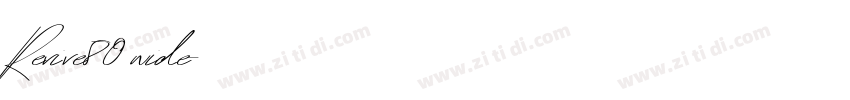 Revive80 wide字体转换